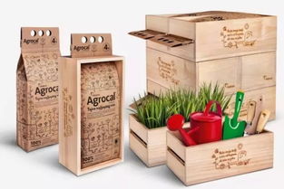 農產品包裝設計與市場營銷策劃 融合美學與商業智慧